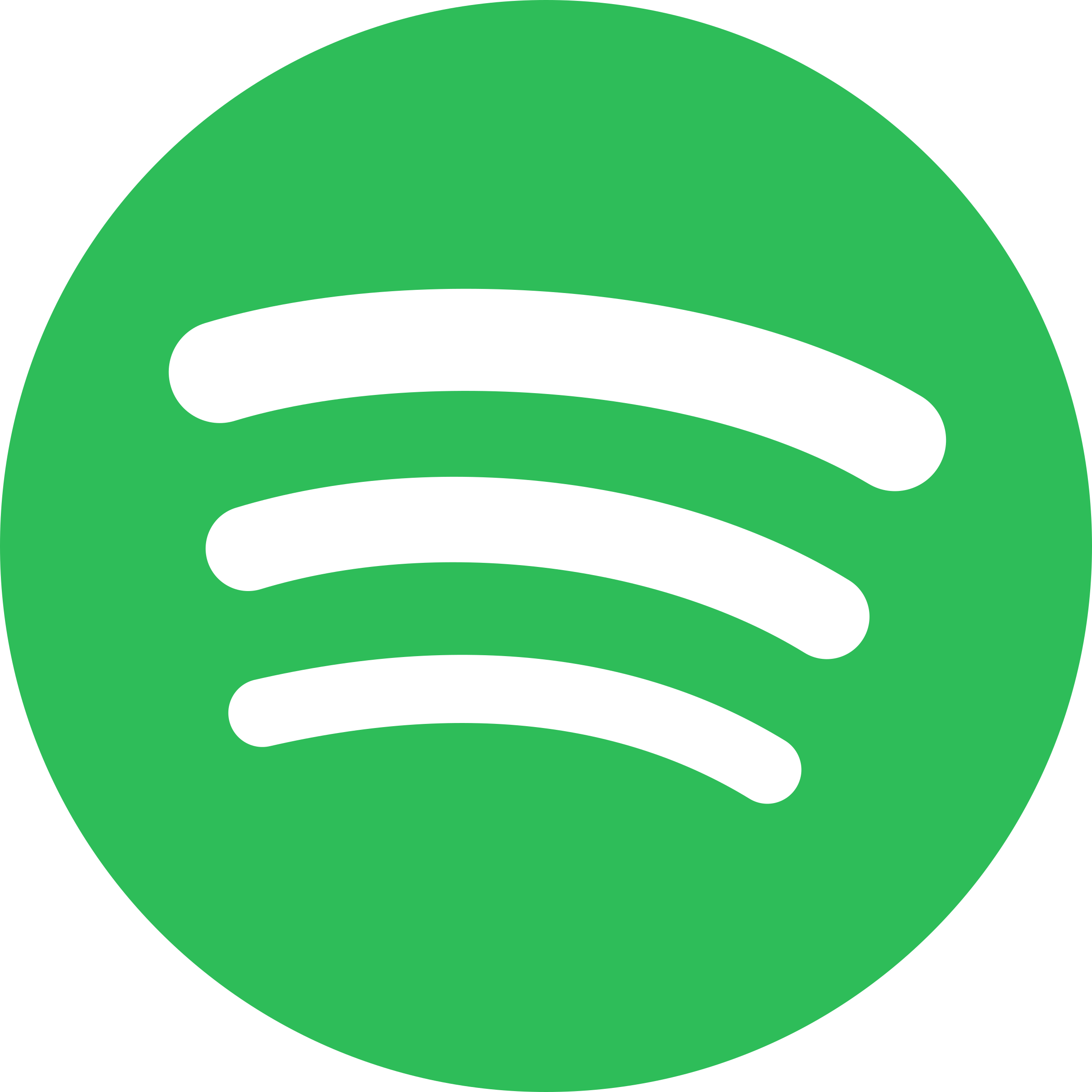 Spotify icon